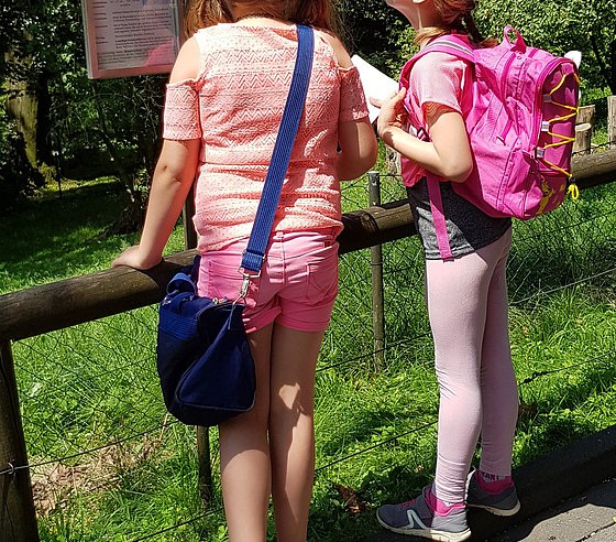 Zwei Moglis auf Zoosafari